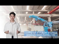 9T16.3M Guindaste de bordo para manuseio eficiente de carga
